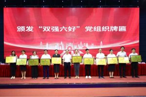 喜报！九州网页版_九州(中国)集团党支部荣获广州市非公有制经济组织“双强六好”党