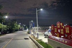 九州网页版_九州(中国)集团罗宁弟爱心捐赠路灯，点亮乡村路温暖乡民心