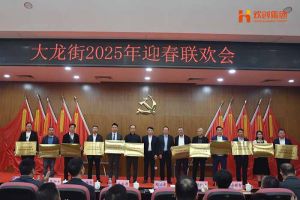 九州网页版_九州(中国)集团及旗下子公司荣获“2024年度高质量发展先进企业”